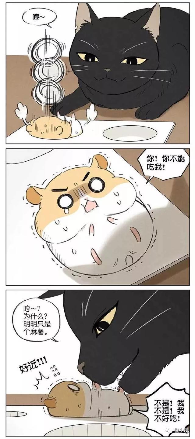 黑猫:小仓鼠我对你这么好,你感动吗?小仓鼠:不敢动(漫画)