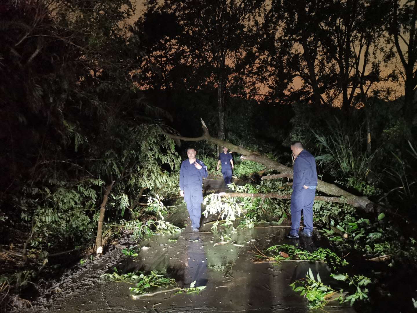 云南河口各地房排名_全国各地瑶族同胞代表齐聚河口庆祝盘王节