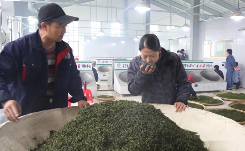 新茶香人口_人口普查