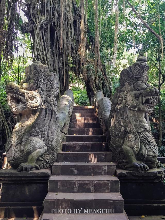 巴厘岛圣猴森林，猴子被当神灵一般伺候，据说跟齐天大圣是远亲？