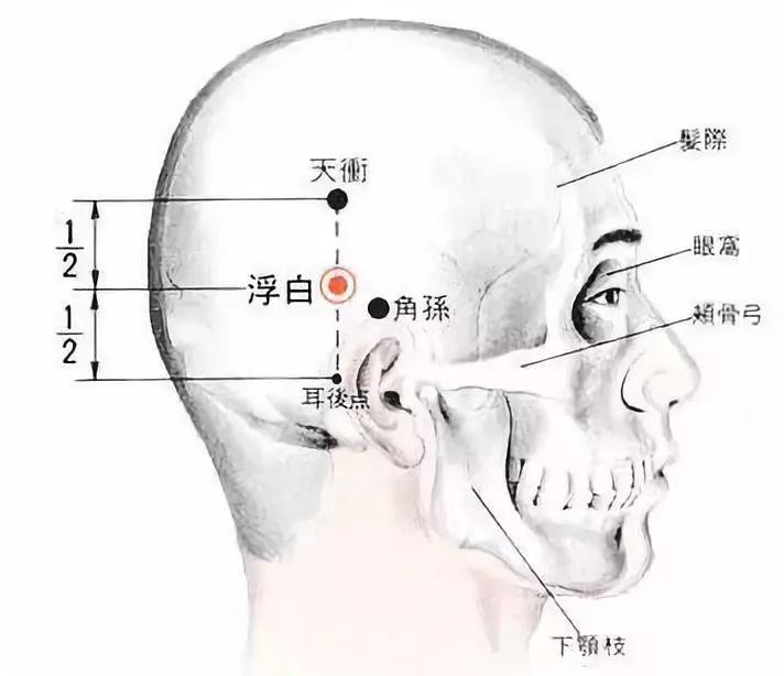 白发增多艾灸浮白穴!从根治愈,还你一头乌发!