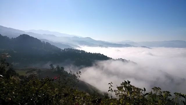 云南普洱魅力之丨茶山旅游吃喝玩乐最全攻略