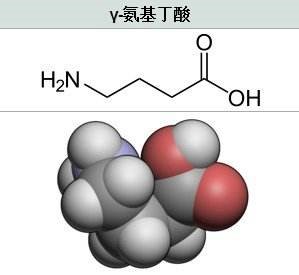 带你了解γ氨基丁酸