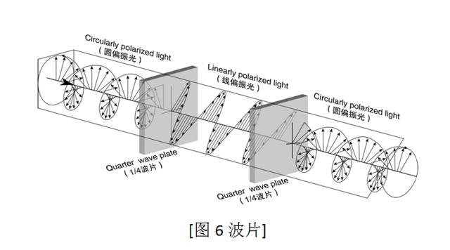 电动力学 圆偏振(偏振方向随时间改变)的光在穿过四分之一波片后变为