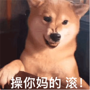 表情包我能有多骄傲敲敲键盘打嘴泡