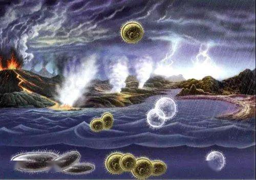 梦境双生,呼唤生命之力的寓意解析 梦境双生,呼唤生命之力的寓意解析