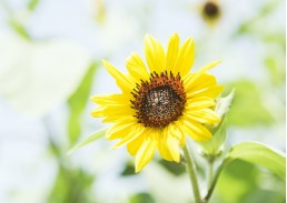 2020年贵州省考笔试_2020年贵州省建筑工程类初中级专业技术职务任职资