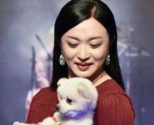 狗段短剧，人与犬之间的情感故事