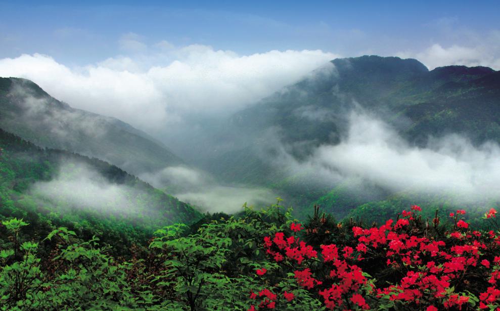 屏山县旅游景区有哪些 8512eaa7ac2945f99fbb46a81efccf57.jpeg