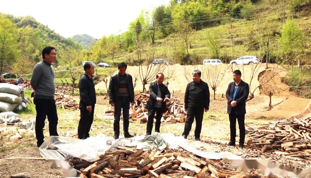 啪啪影院破解版免费下载:珍惜时间的诗句古诗