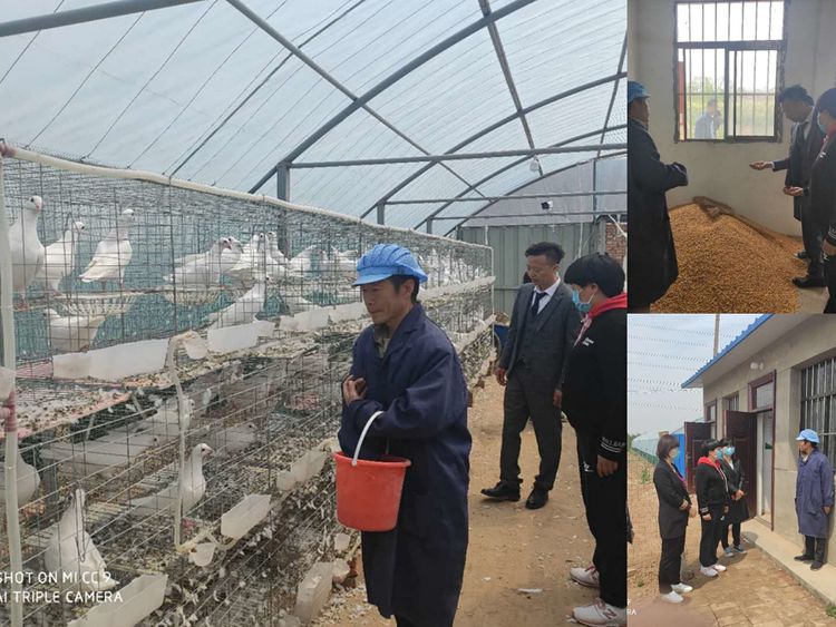 2020渭南市临渭区GDP_渭南市临渭区信达广场