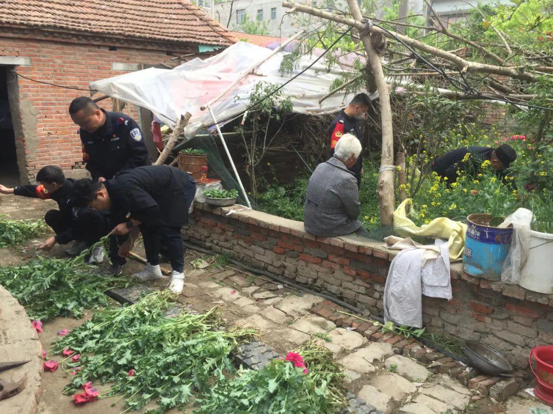 寿光刑姚一村人口_寿光蔬菜博览会