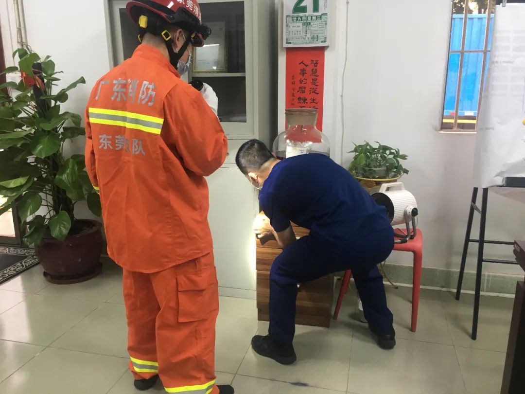 家中出现绿色长蛇好不好