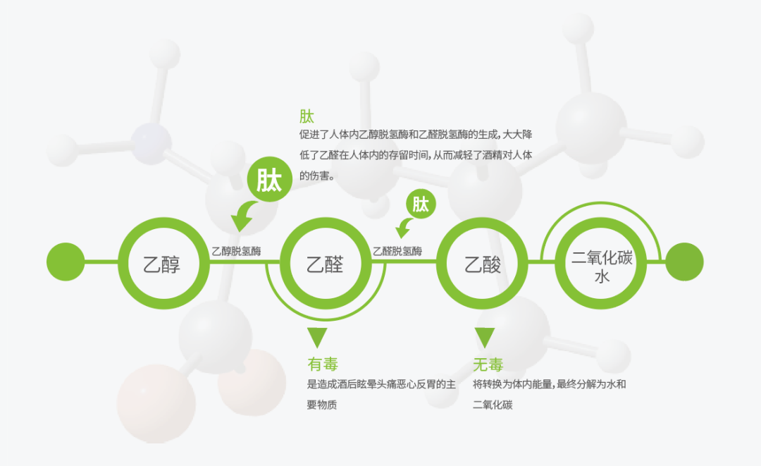 8ec2fe02fd3e4ddba31c10536ef70cc7.png