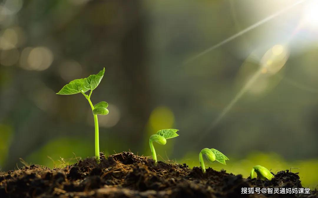 身高■为啥有些娃身高“弯道超车”啦？说好一起长大！几个月没见