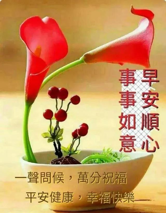 9aab5356ab944a869f7504cc760d2303.jpeg