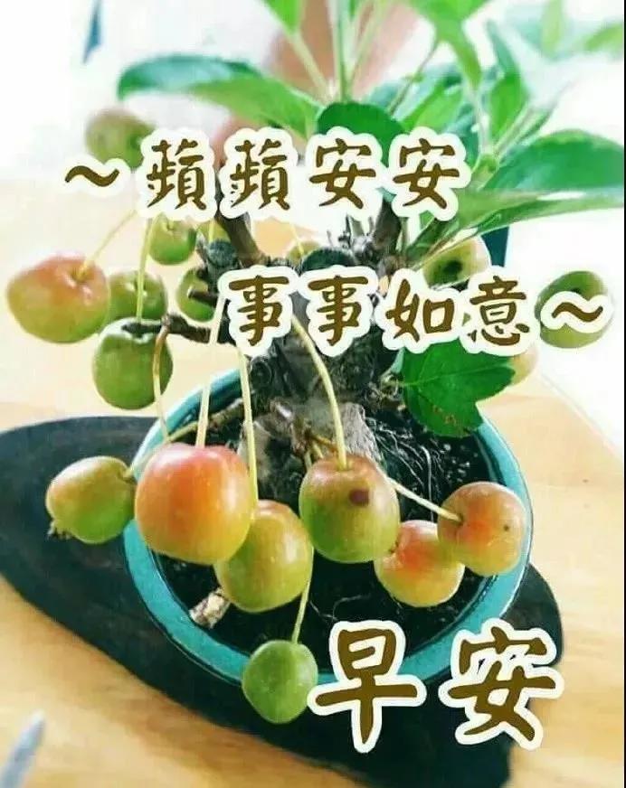 春季清晨早上好唯美动态祝福图片带字早晨微信问候动画表情图片