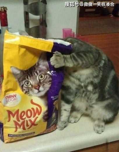 一个人拉着大象和犀牛的尾巴猜成语(3)