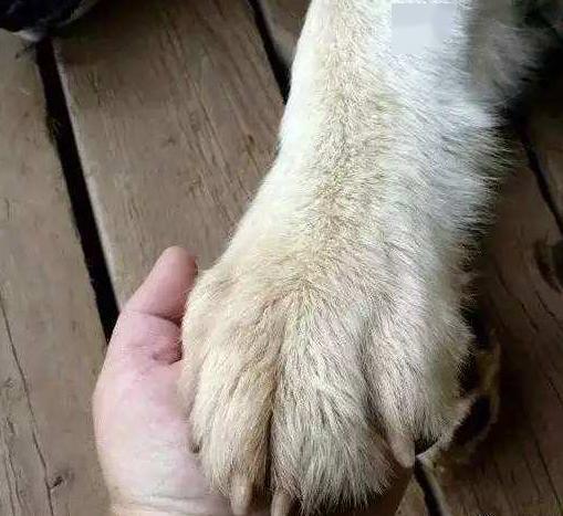 a4d710d84f2b45f0a9e7c4fa725a9c19.jpeg