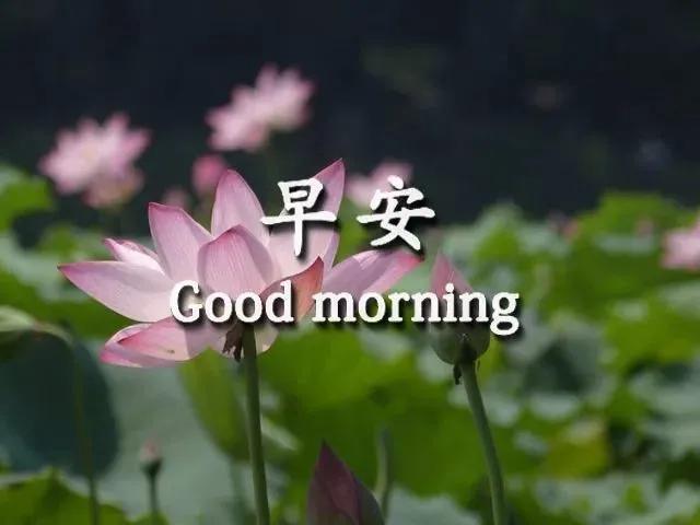a62b3fb404b64d769ec89872fd9a70cb.jpeg