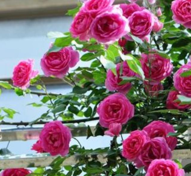 a85991cb3de64a72afb266e13c8bc6d9.jpeg