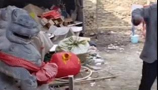 踹大衣哥门被拘留，家人竟指责大衣哥冷血不近