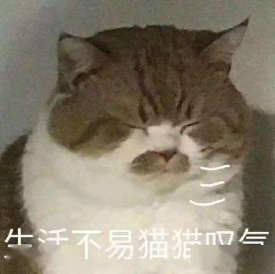 ac414e17a52d48cd813e319f985e9e79.jpeg