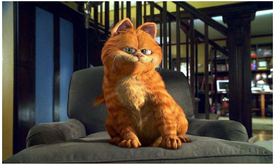 《加菲猫》