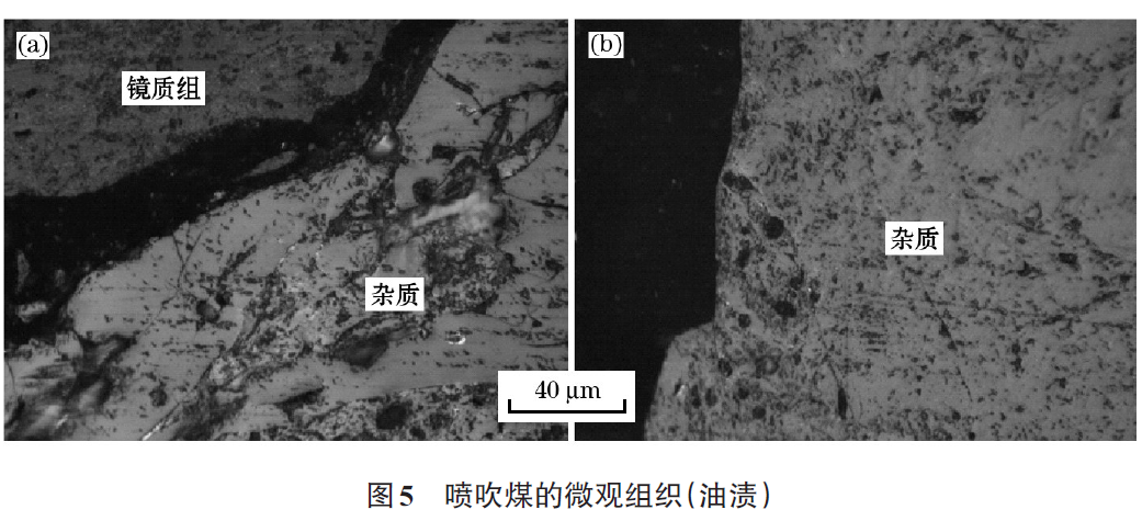 德国徕卡煤岩偏光显微镜检测喷吹煤中半焦