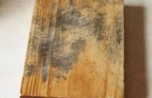 菜板发霉怎么弄 d1e86f47a89d420abb1a21be8963567c.jpeg