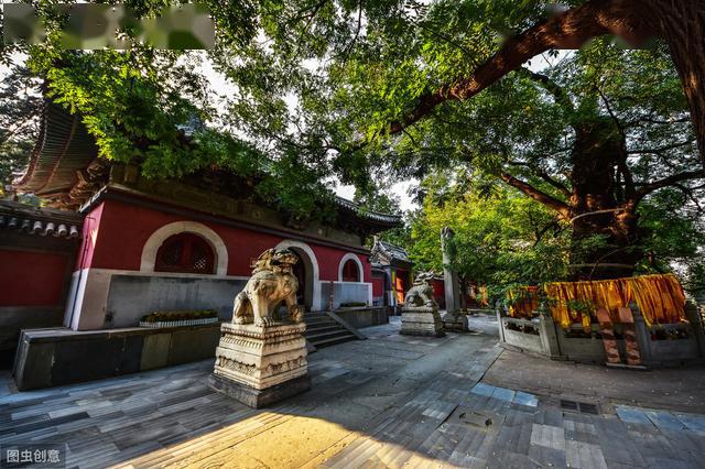 门头沟潭柘寺,戒台寺两景区恢复开放!