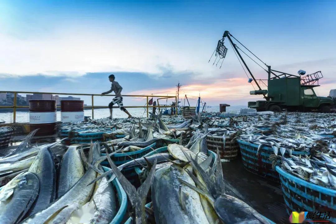 石狮祥渔村捕捞中国渔业第一村年产值超15亿