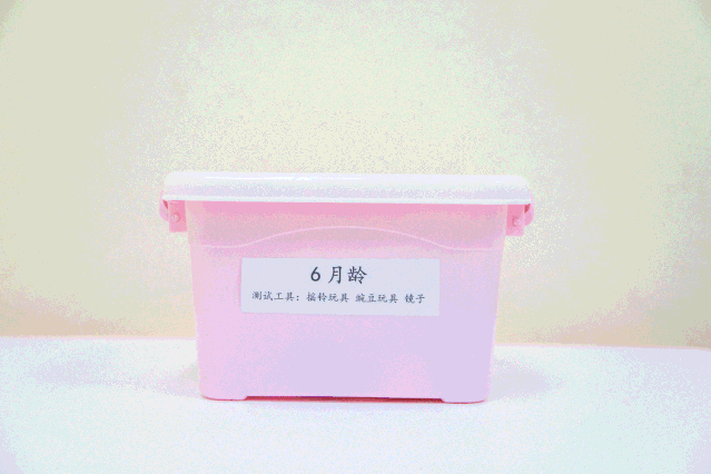 嘉宝■终于来了！带娃看病不再狼狈！东莞这家高端儿科戳中无数妈妈的心..