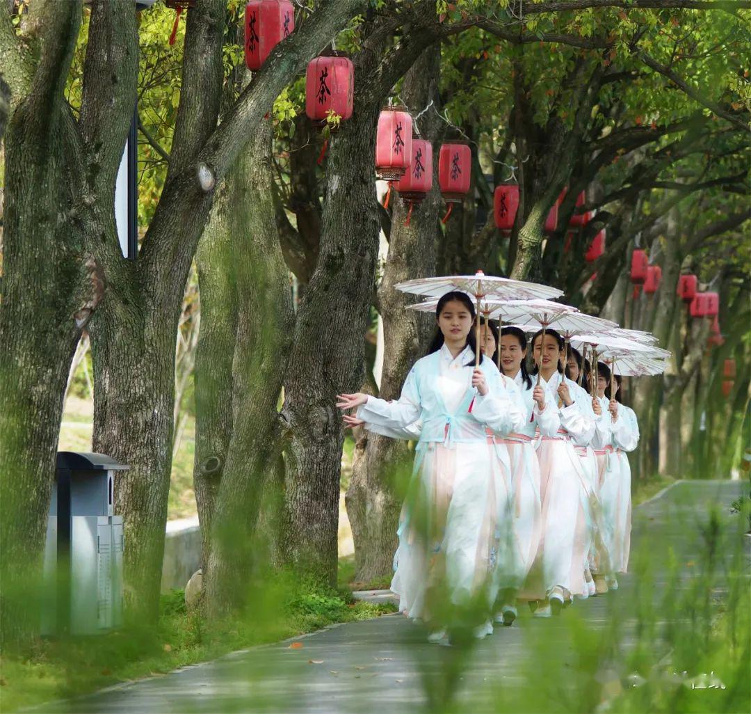 一群古装美女采茶场景震撼来袭!