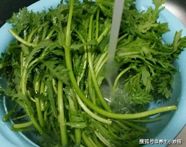茼蒿的外形是特别像菊花的，所以又被称为是菊花菜，茼蒿当中含有挥发性