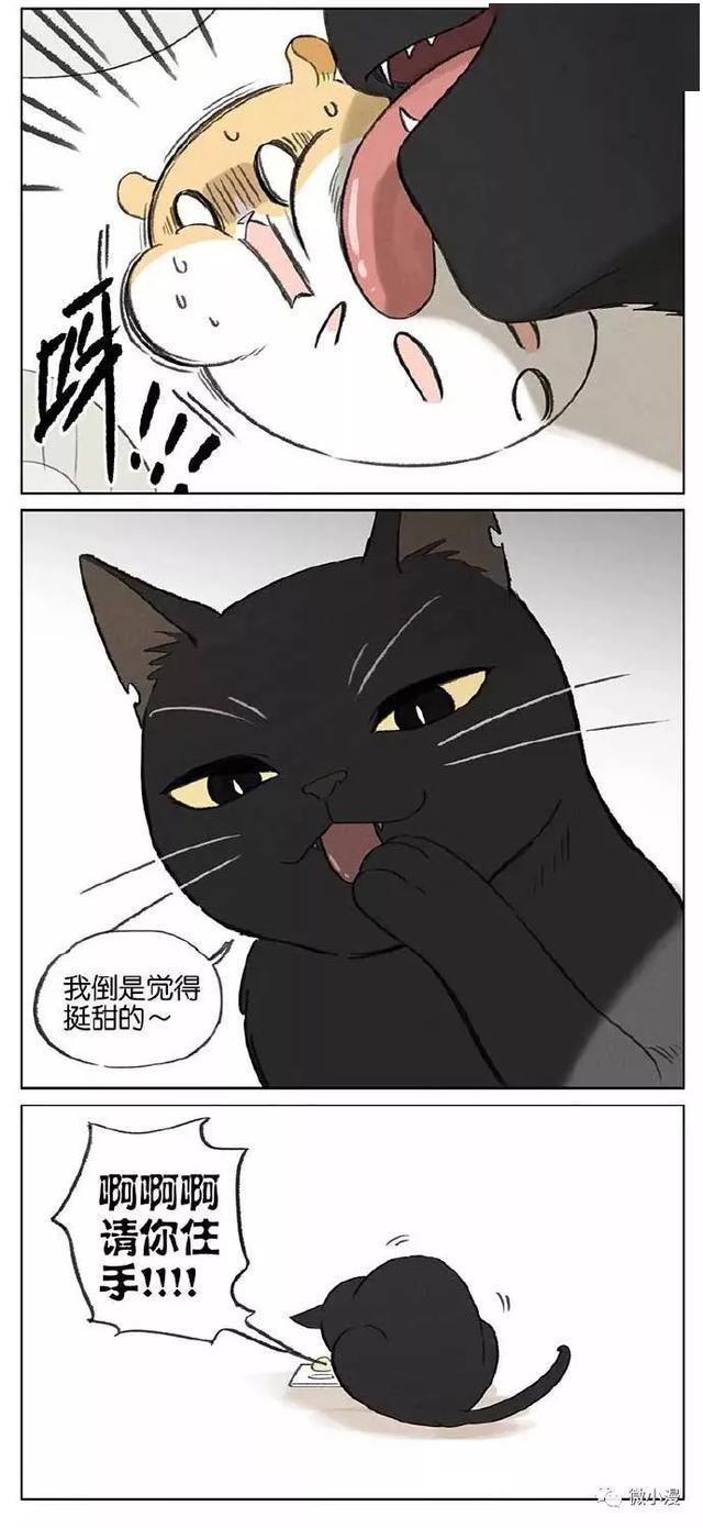 黑猫:小仓鼠我对你这么好,你感动吗?小仓鼠:不敢动(漫画)