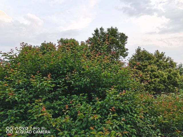 5G自拍视频时代来了?华为nova7 Pro全面体验,你和它都是主角