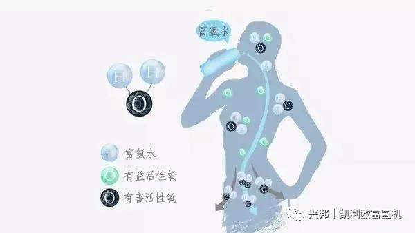 ee8194054acd4f53bf30d8ce3ded9c9a.JPG