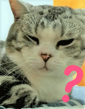 eea33dfb95e045b48cdf2ca46a4c233b.gif