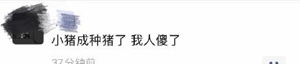 从舞王到PAO王，被前女友踢爆出轨，40岁的罗志祥