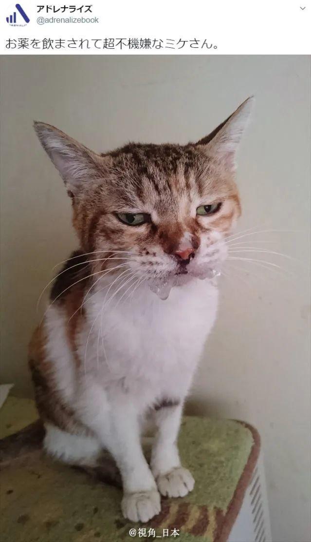 什么文鸟迹成语_成语故事图片