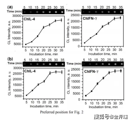 再分化的原理是什么_低分化腺癌是什么意思(3)