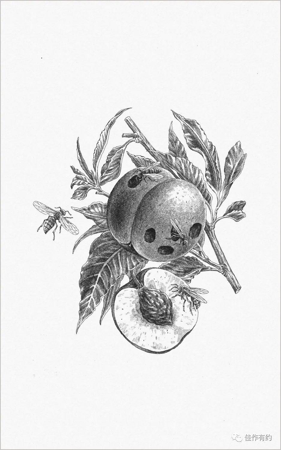 大米怎么画很逼真 f5d9a42327724433b533e72fea050e46.jpeg