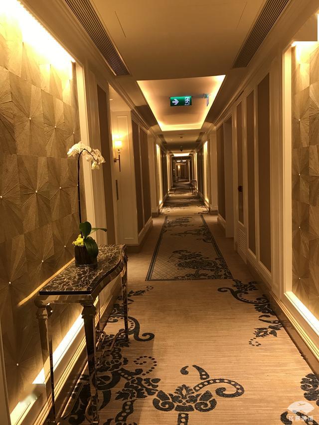 酒店走廊,这个案是不是很精致.