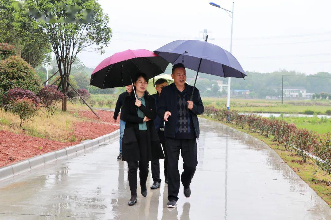 长龙街道党工委书记覃芳前往茶塘村长龙村龙井社区开展调研