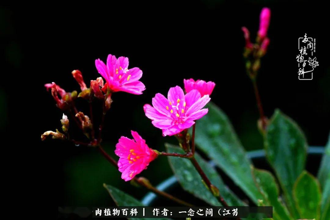fe34030eabb447919d7aecb6d6be86d4.jpeg
