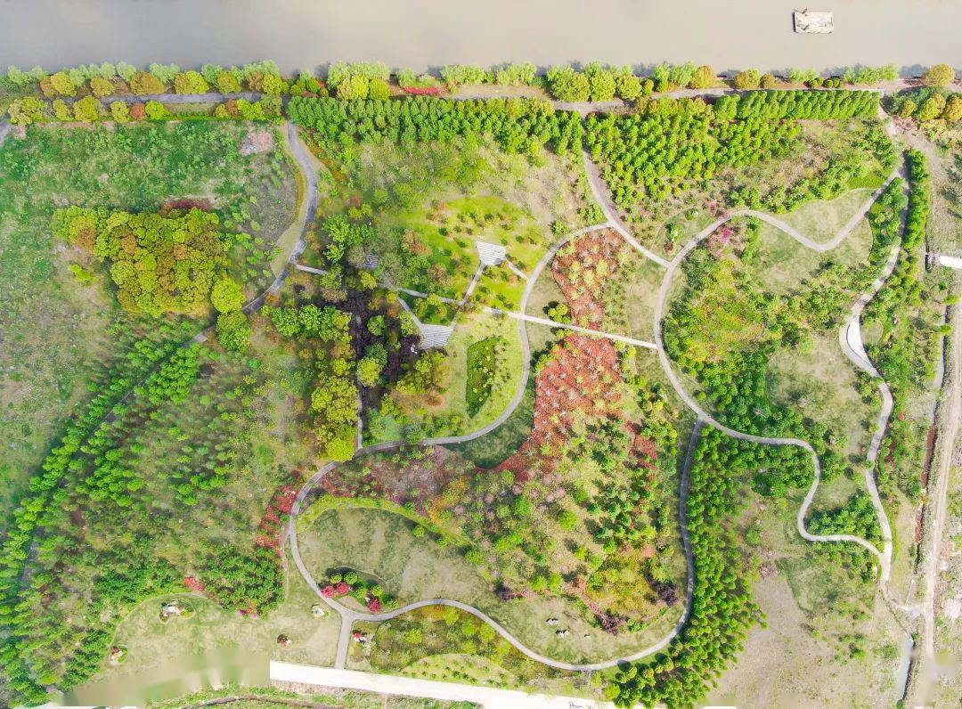 探索绿化面积超过2个世纪公园浦东这块楔形绿地正在建设
