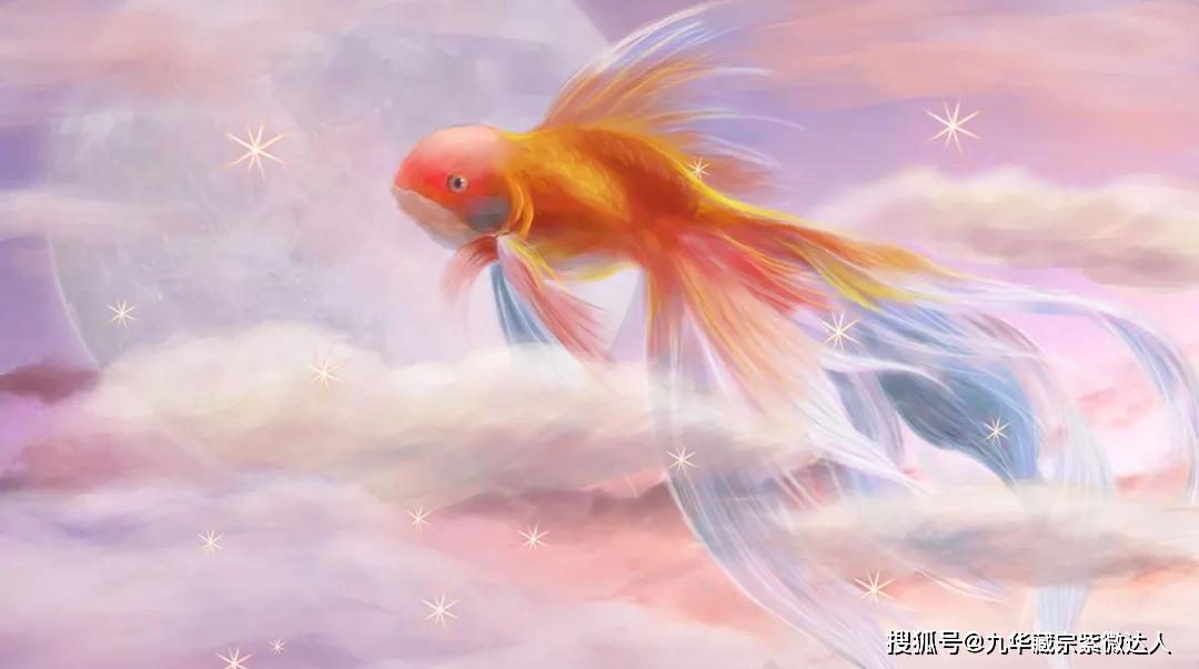 梦境奇遇，捕捉鱼与龟的深层寓意与心理解析