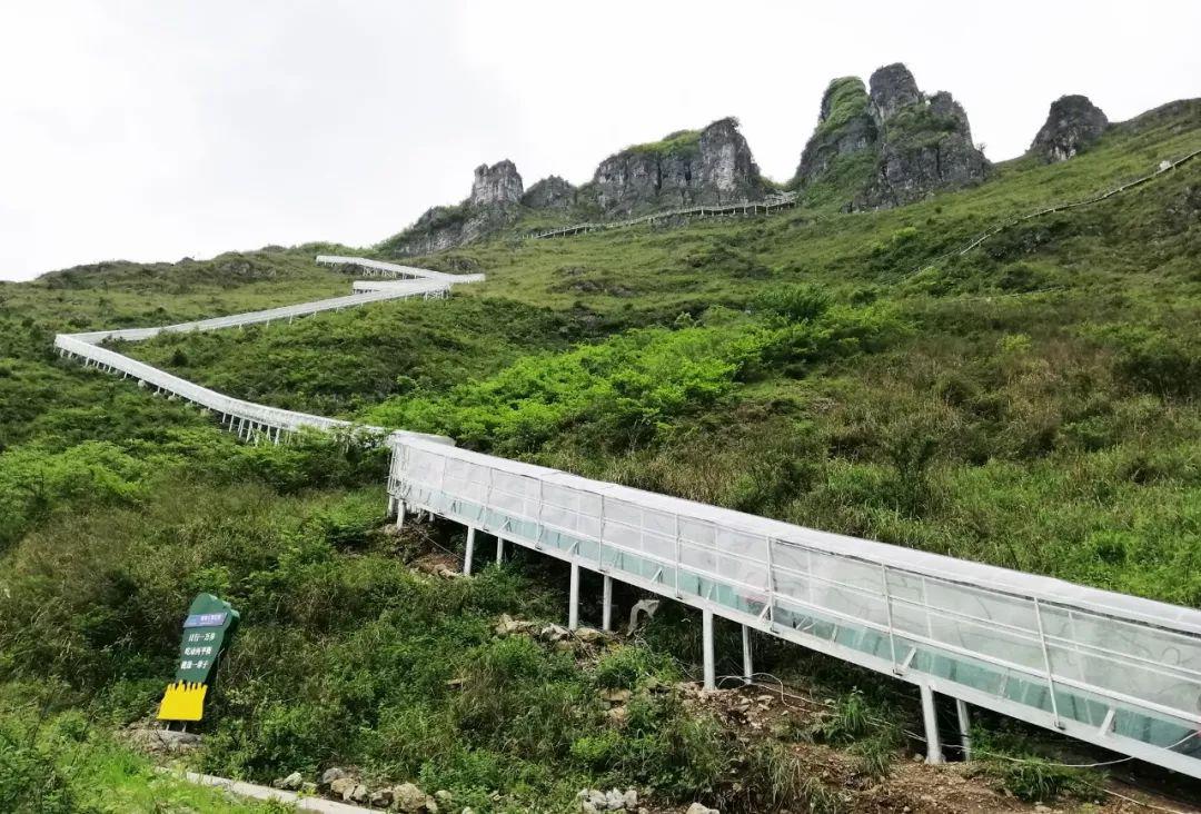 来印江游大圣墩,栈道,秋千,攀岩任你选