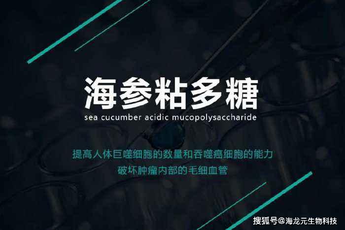 从单糖到多糖糖中贵族海参多糖的营养足以打动你